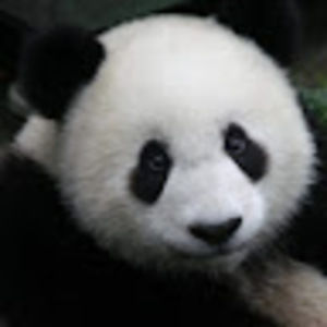 Meet your Posher, Jodi